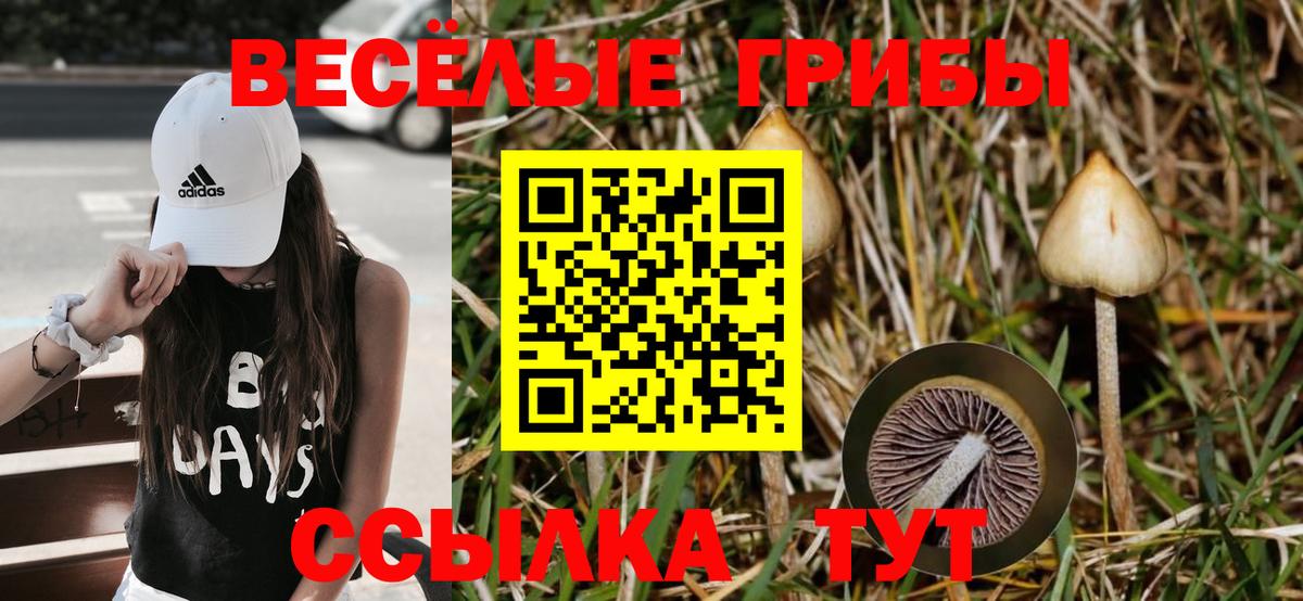 Галлюциногенные грибы Magic Shrooms Богданович