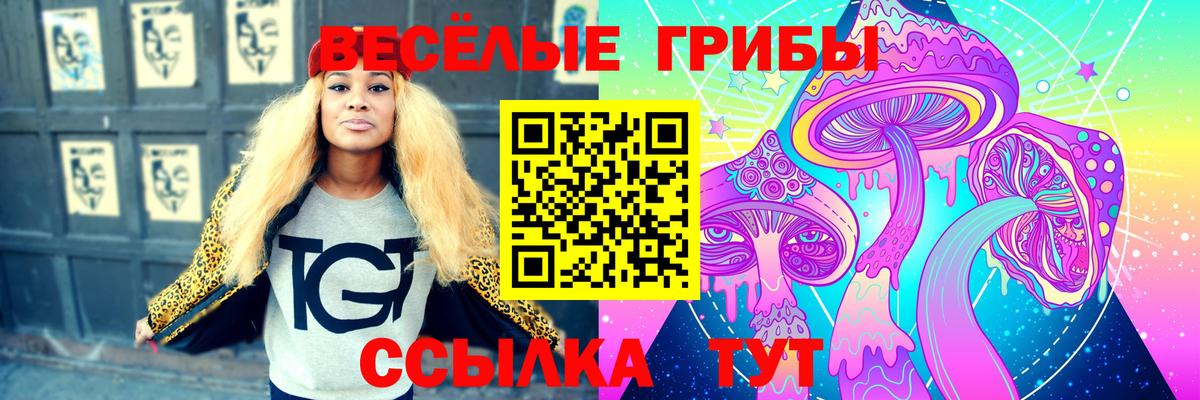 цена   Псилоцибиновые грибы Psilocybe  Галлюциногенные грибы прущие грибы  Вход с VPN  Богданович 
